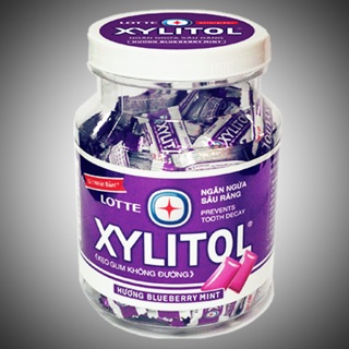 Kẹo xylitol hương blueberry mint hũ 290g