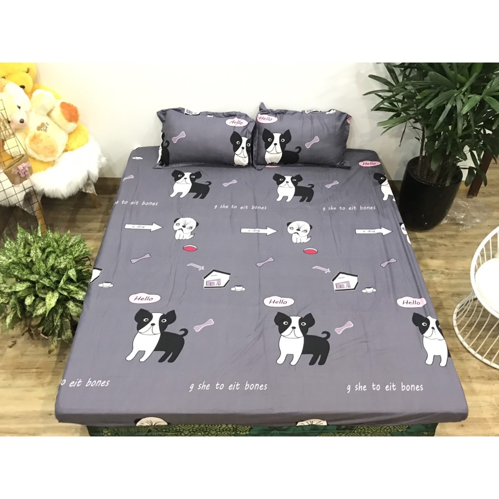 [Free ship]Ga trải giường poly cotton bọc đệm 1m4x2m,1m6x2m,chó xương