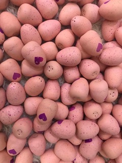Trứng hatchimals ( COMBO sỉ an )
