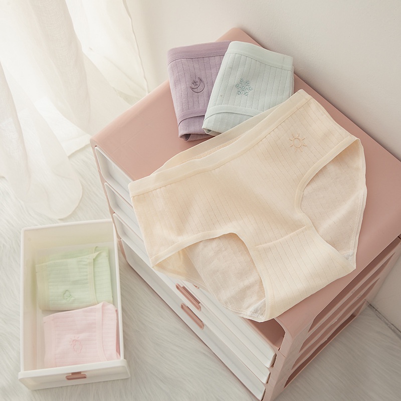 Bộ 1/5 Quần Lót Cotton Lưng Vừa Thoáng Khí Cho Nữ