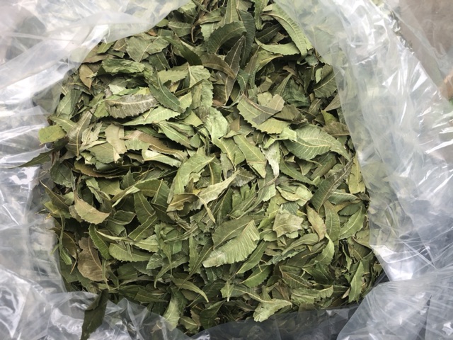 Lá neem gội đầu 100g | BigBuy360 - bigbuy360.vn