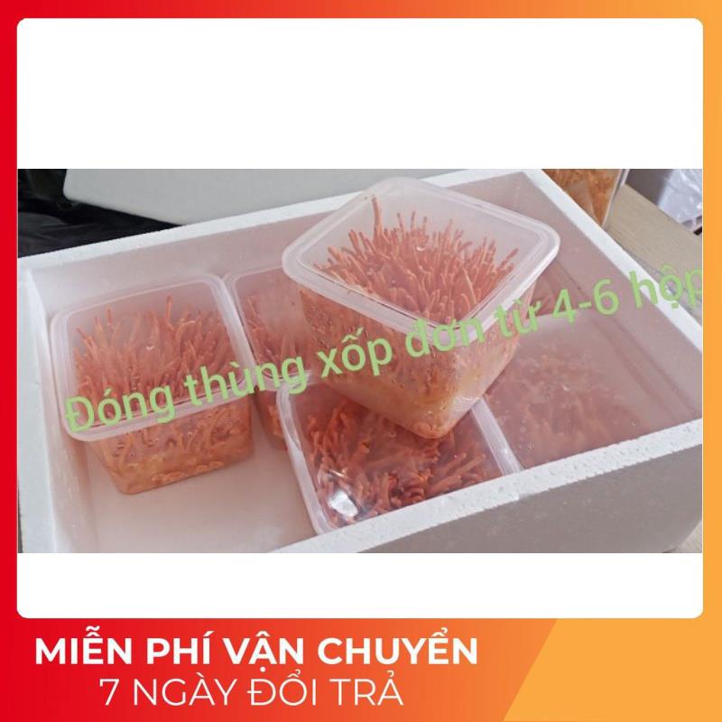 Đông trùng hạ thảo sinh khối tươi | BigBuy360 - bigbuy360.vn