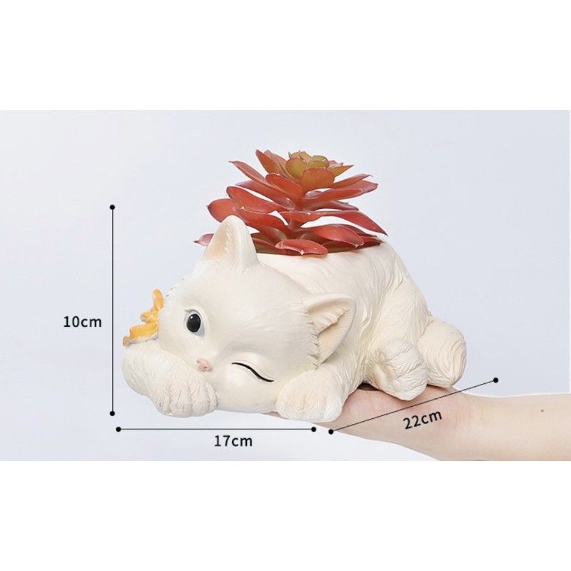 Chậu mèo ngủ trồng cây, hàng bao bể ,tặng kèm bé thỏ mini.