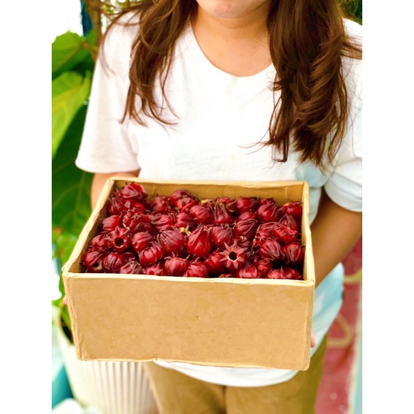 Hoa atiso đỏ ngâm siro đã lấy hạt 1kg tươi ngon  - Hibiscus - Bụp giấm