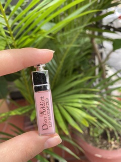 Son dưỡng dior mini