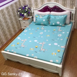 GA CHUN VÀ VỎ GỐI POLY COTTONG