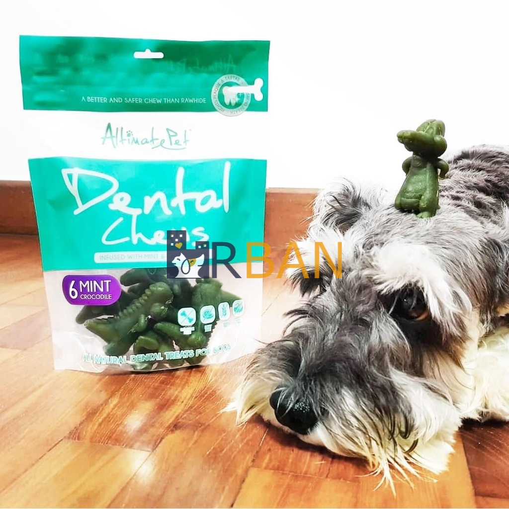 [Mã PET50K giảm Giảm 10% - Tối đa 50K đơn từ 250K] 𝗨𝗥𝗕𝗔𝗡_𝗗𝗘𝗡𝗧𝗔𝗟 𝗖𝗛𝗘𝗪𝗦_GẶM SẠCH RĂNG THƠM MIỆNG CHO CHÓ