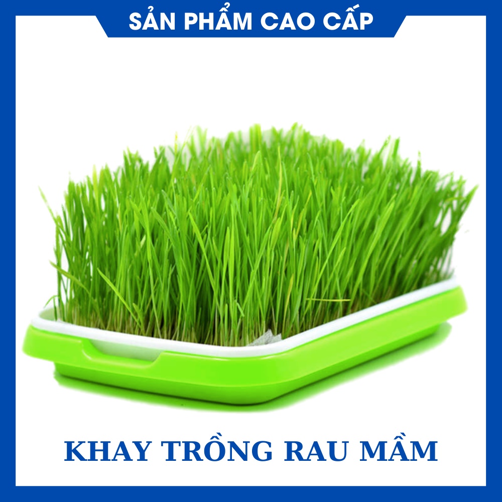 Khay Trồng Rau Mầm, Cỏ Lúa Mì 2 Lớp - Chất Liệu Cao Cấp, An Toàn