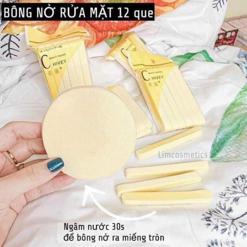 12 miếng mút rửa mặt bọt biển