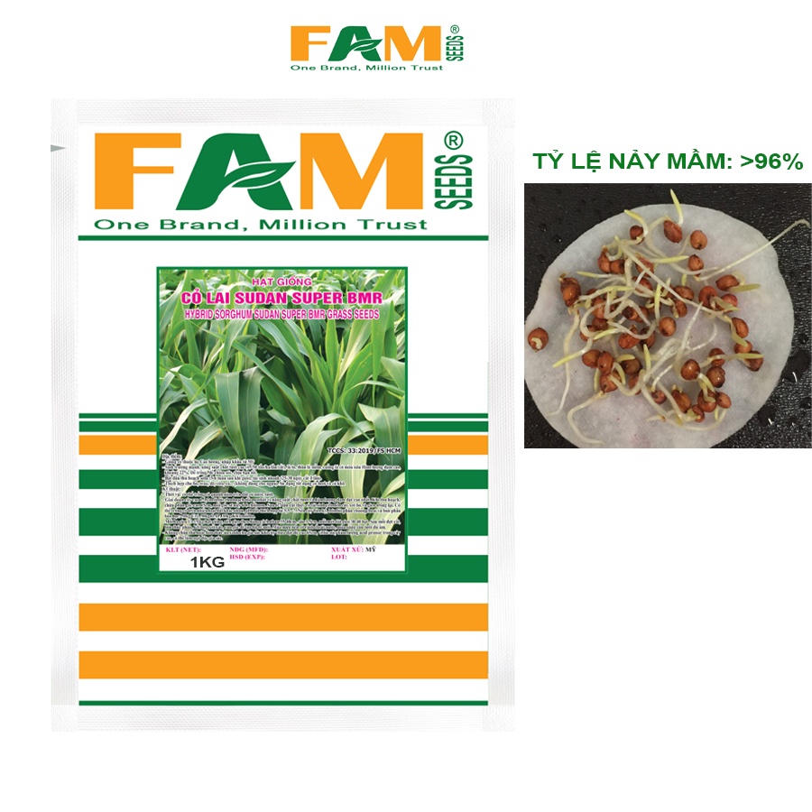 Gói 1kg-500g Hạt Giống Cỏ Lai Sudan Super BMR FAM SEEDS Xuất Xứ USA - Giống Cỏ Cao Lương, Sinh Trưởng Mạnh,Mau Thu Hoạch
