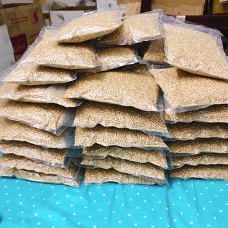 1kg Hạt giống cỏ lúa mì hữu cơ Hạt cho mèo