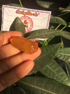 NGỌC THIỀN (Ve Sầu)