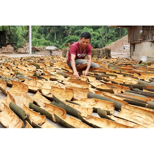 1kg Cinnamon Sticks Ống Quế Yên Bái Thanh Cạo Vỏ Ống Sáo