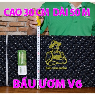 BẦU ƯƠM V6 TIẾT KIỆM CUỘN DÀI 50M - CAO 30CM ĐỘ DẦY 0.6MM