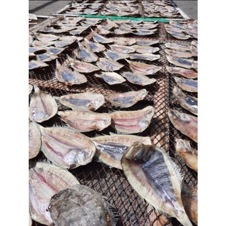 500GRAM- KHÔ CÁ DẢNH(CÁ NGỘ)- ĐẶC SẢN PHAN THIẾT (hút chân không)