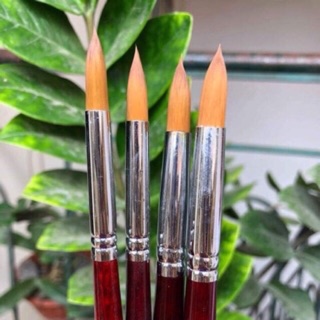 Cọ Đắp Bột Số 12, Số 14, Số 16 Super Linda