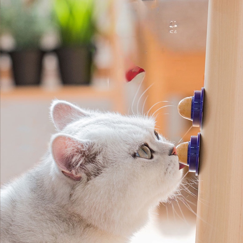 Quả bóng bạc hà đồ chơi cho mèo