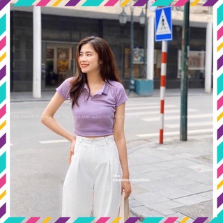 ÁO THUN CỔ POLO CROPTOP FORM BODY