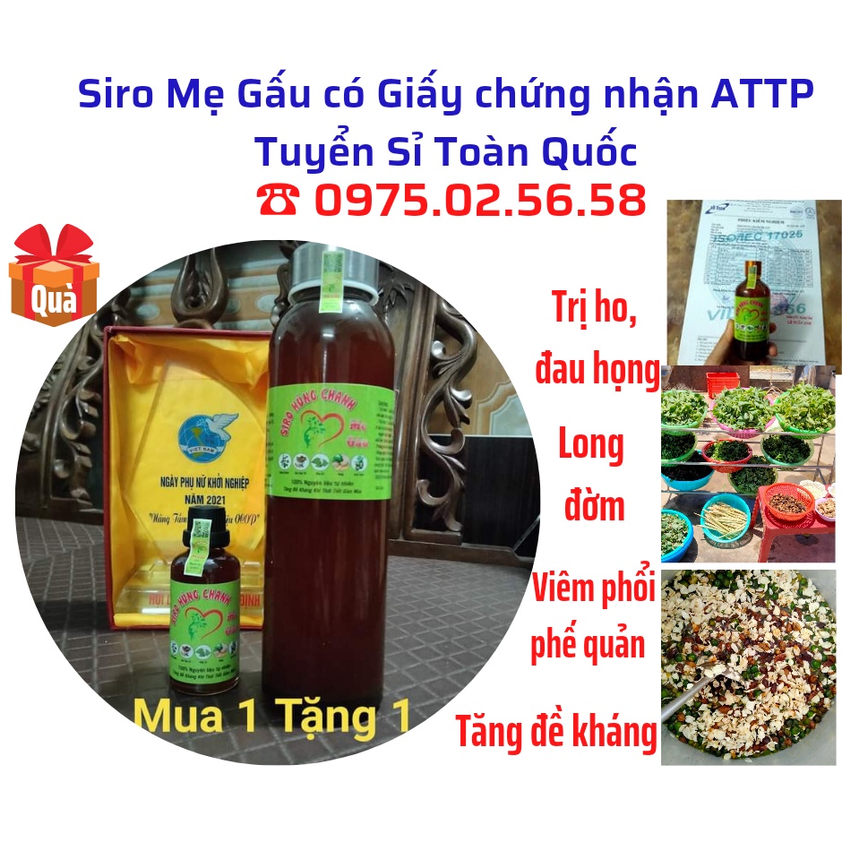 (MUA 1 TẶNG 2) 500ml Siro Ho Húng Chanh Tăng Đề Kháng cho bé. Siro Handmade Bổ phế, Tiêu Đờm đã Kiểm Nghiệm ATTP