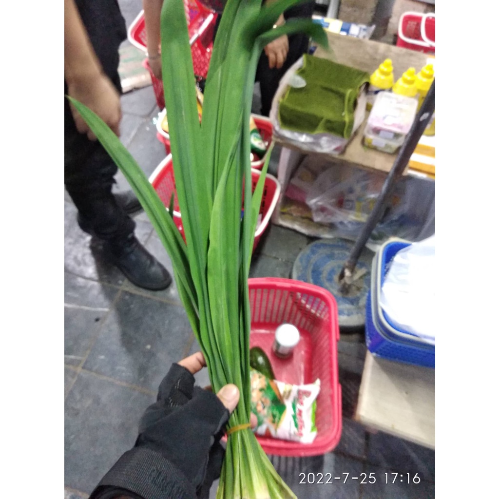 Lá nếp tươi Fresh Pandan Leavesnấu chè,làm bánh