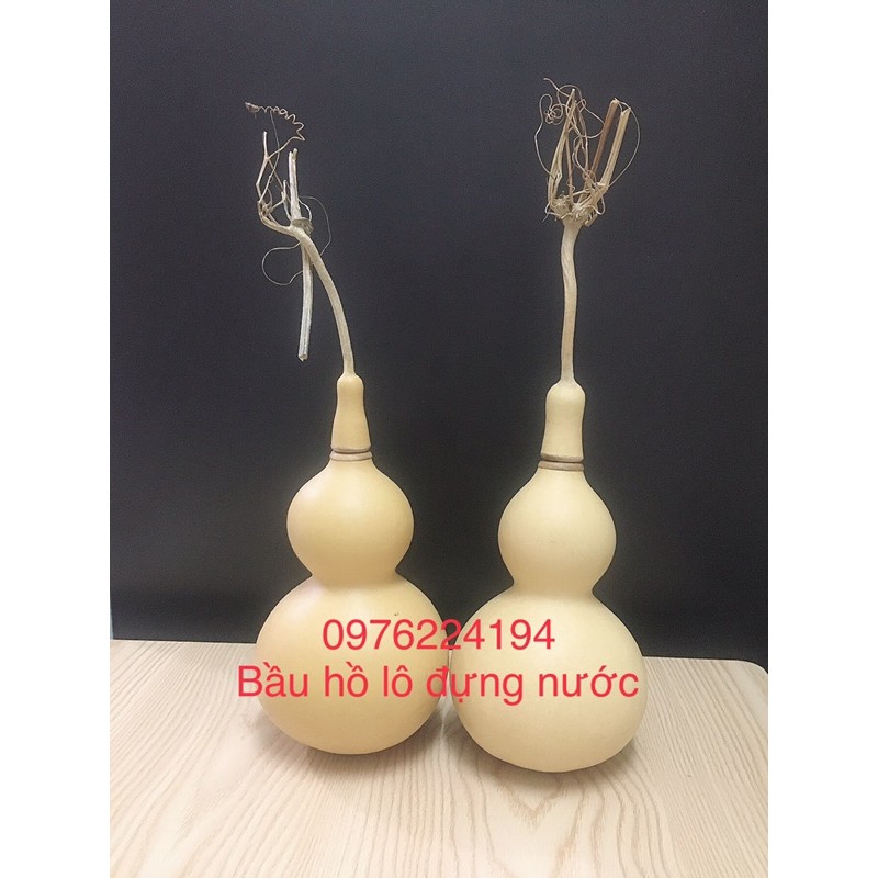 Quả bầu hồ lô đựng nước, nậm bầu hồ lô phong thuỷ