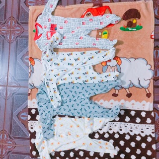 Tả vải Bambi Mio