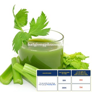 5GR - HẠT GIỐNG CẦN TÂY