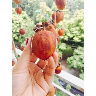 500g Hồng treo gió công nghệ Nhật bản