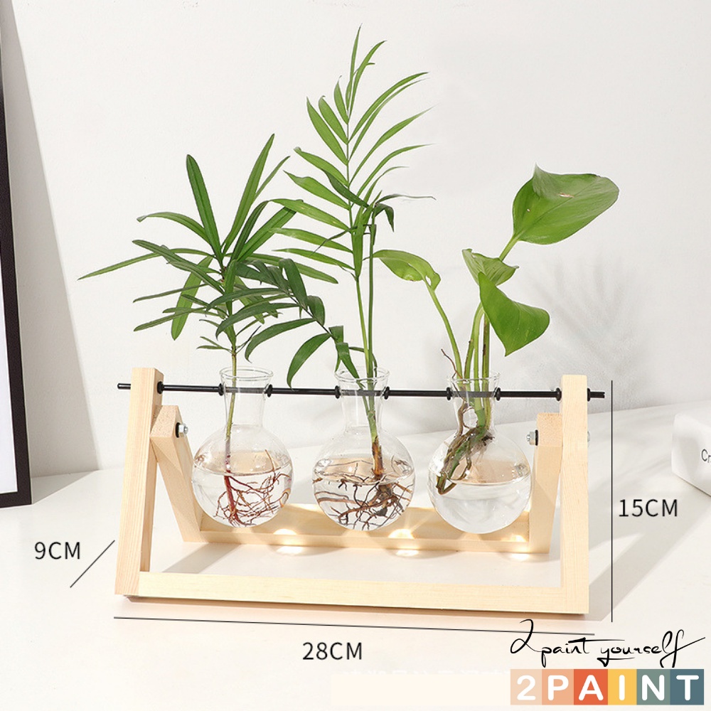 Lọ thủy tinh trồng cây thủy canh đế gỗ, decor trang trí để bàn 2Paint