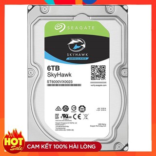 Ổ cứng máy tính Seag ate Skyhawk 6TB Chuyên dụng camera