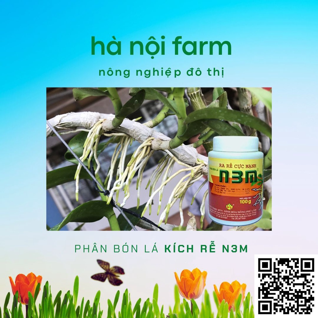 N3M kích ra rễ dạng bột,Kích thích ra rễ cực mạnh- kích thích ra rễ, nảy mầm…- hũ100g
