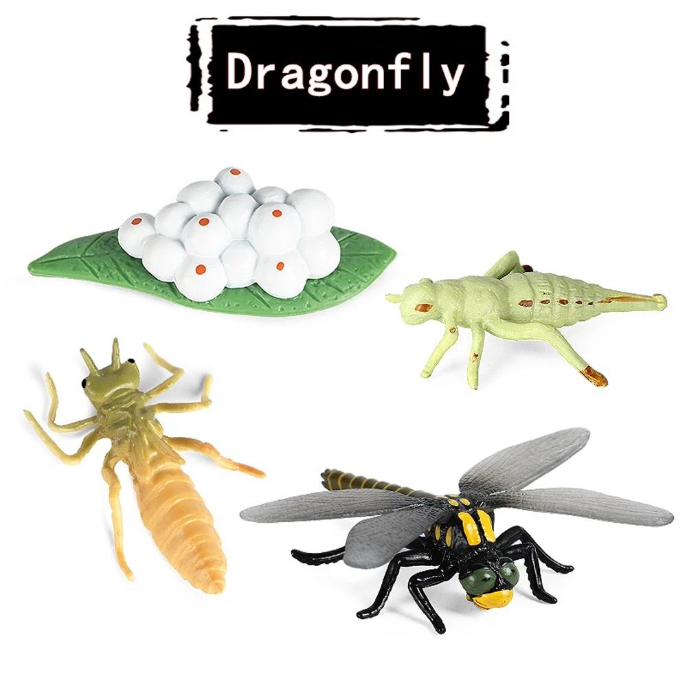 Mô Hình Chuồn Chuồn Đồ Chơi Bằng Nhựa Pvc Cho Bé