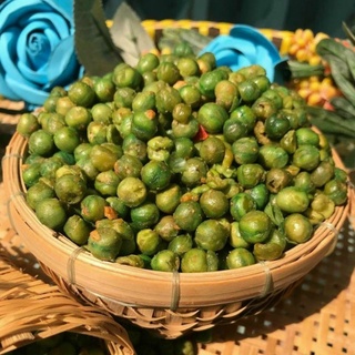 500gr ĐẬU HÀ LAN TỎI ỚT