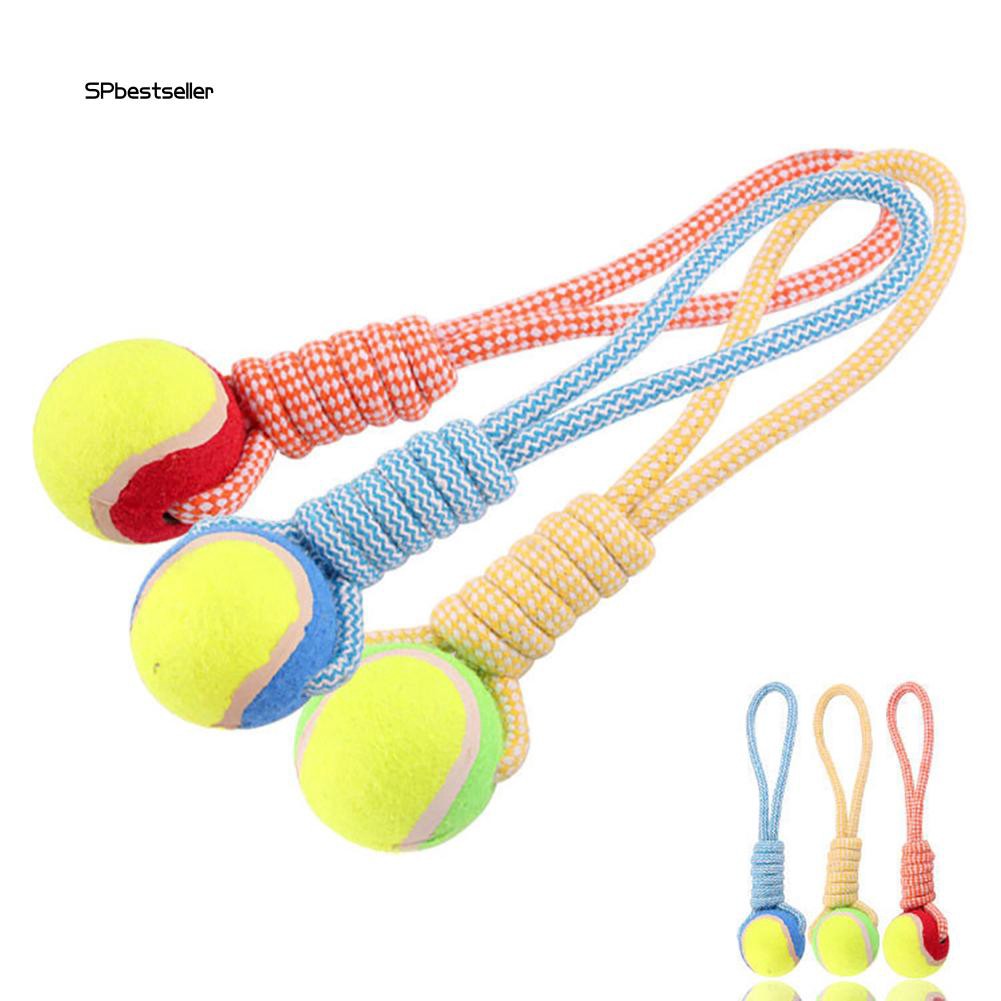 Dây bóng tennis đồ chơi cho cún cưng