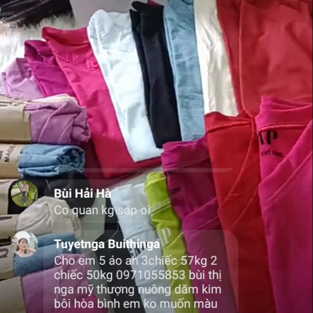 100k 6 áo cổ tim