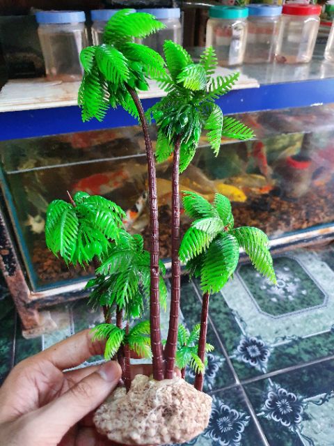 CẢNH DỪA TRANG TRÍ HỒ CÁ NON BỘ CAO 27CM