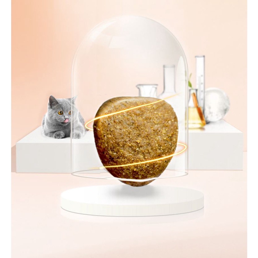 Thức ăn hạt Masti cho mèo con và mèo trưởng thành 500g 1.5kg Bịch lớn - Nội địa trung siêu ngon - Nà Ní Pet Shop