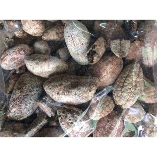 Quả chuối hột rừng