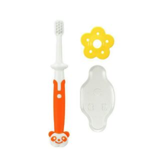 Bàn chải đánh răng bước 3 Richell 12m
