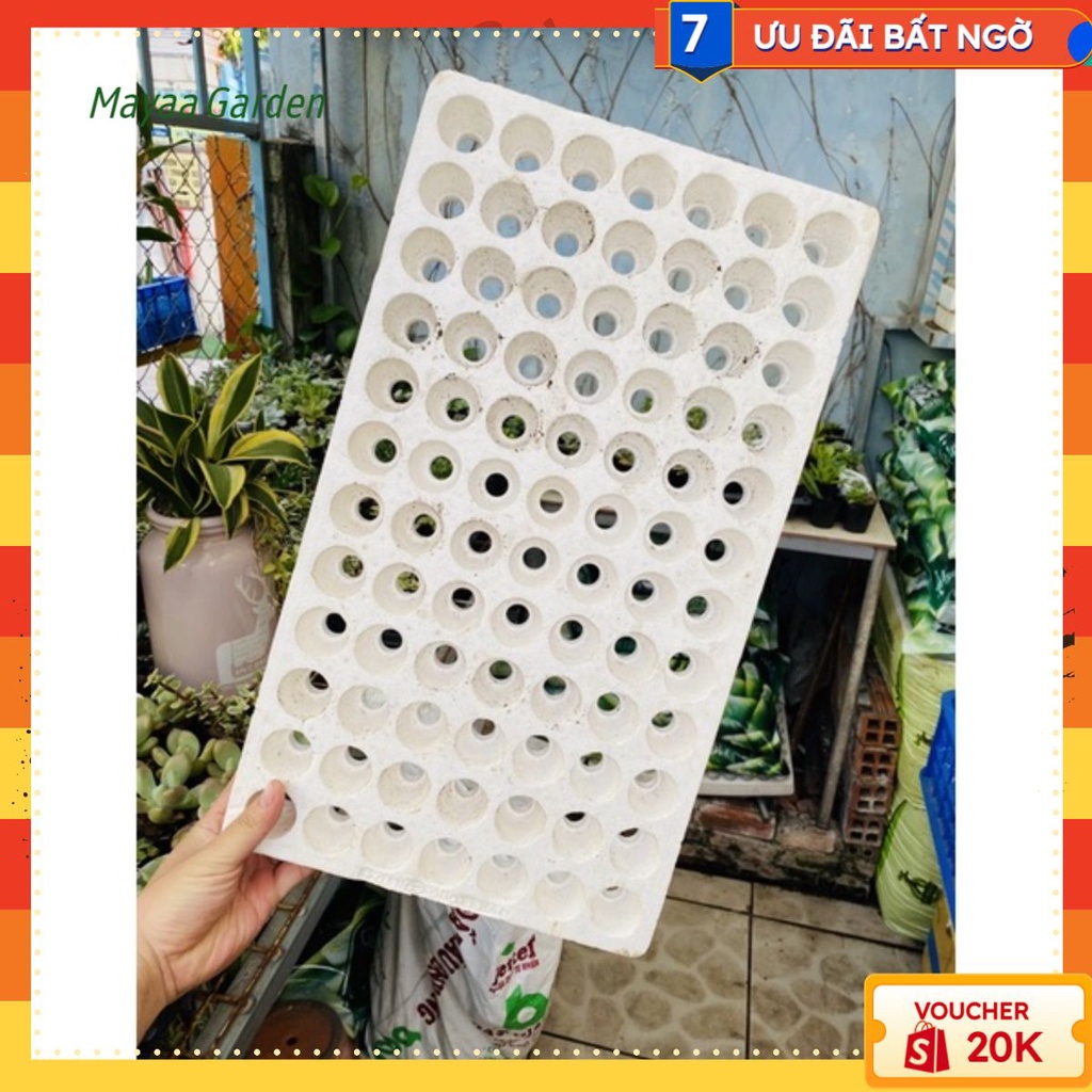 KHAY ƯƠM HẠT GIỐNG 84 lỗ HÀNG SIDA ĐÃ DÙNG NHƯNG CÒN RẤT SẠCH