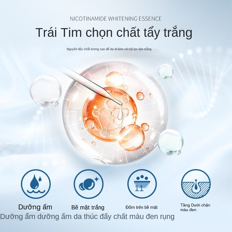 Mặt Nạ Venzen Niacinamide Dưỡng Ẩm Làm Trắng Và Trẻ Hóa Làn Da Hiệu Quả