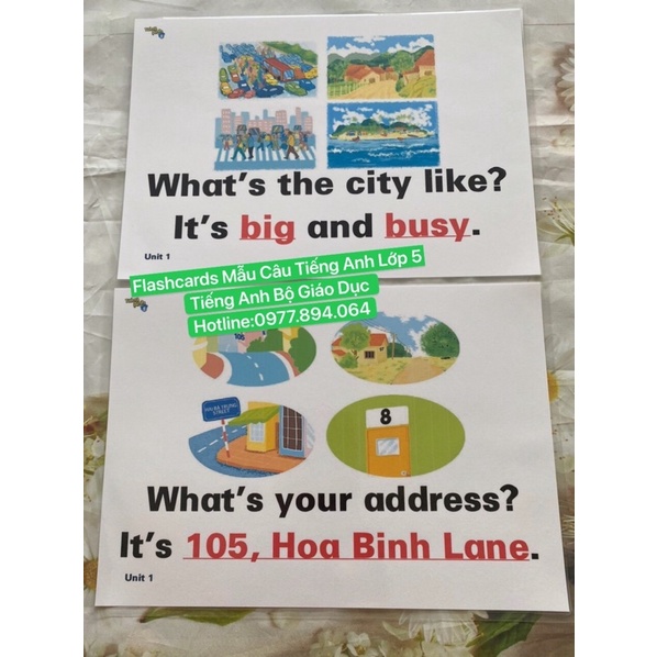 Combo Flashcard  Mẫu Câu Lớp 1-2-3-4-5