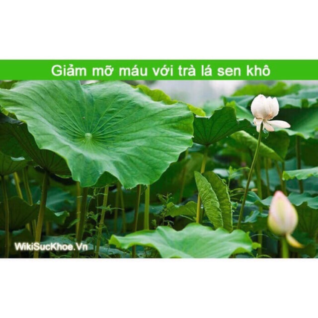 (FREESHIP EXTRA)- 1kg lá sen khô - (HLCM)