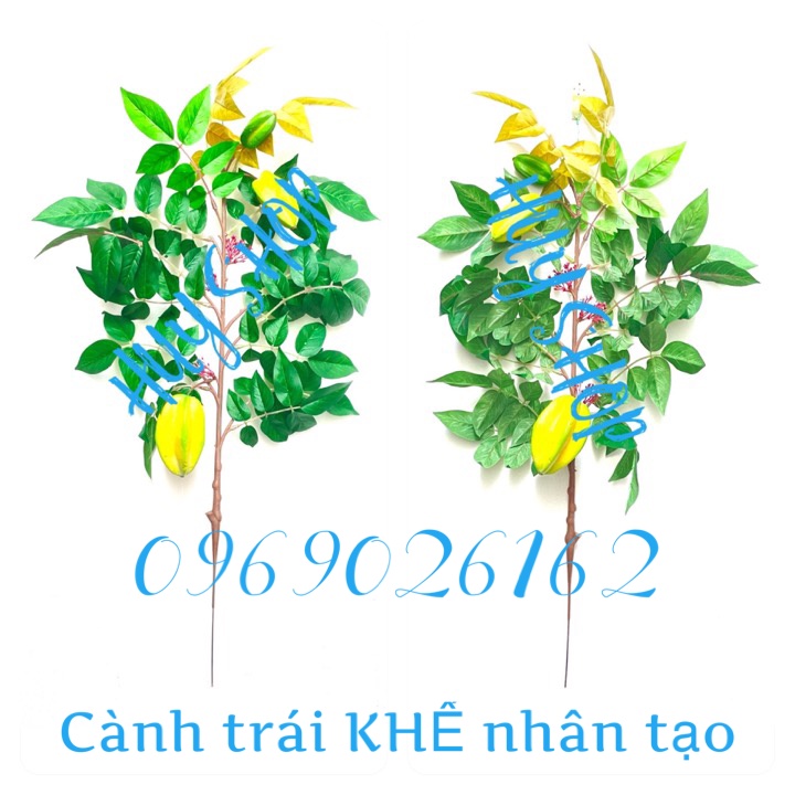 Cành Trái KHẾ nhân tạo trang trí nhà cửa