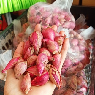 Củ Tỏi - hành tím - hành tăm ( nén ) lý sơn / quảng ngãi