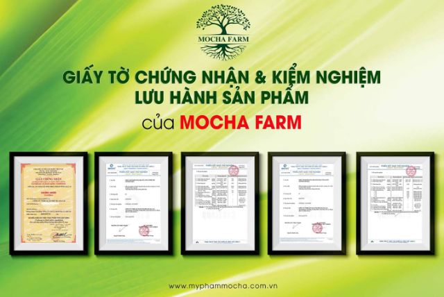 Kẹo mầm mocha farm