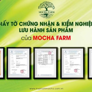 Kẹo mầm mocha farm
