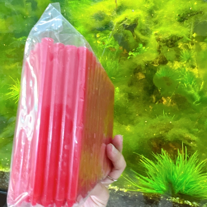ĐÈN CẦY TRUNG THU THẮP LỒNG ĐÈN TRUNG THU