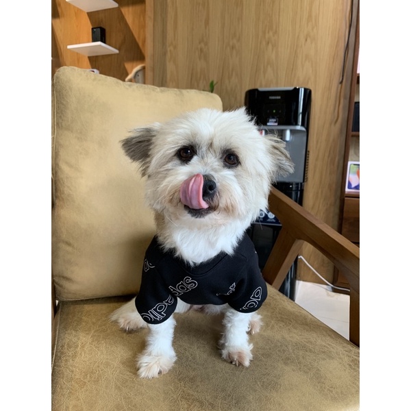 Áo nỉ Adidas cho chó mèo