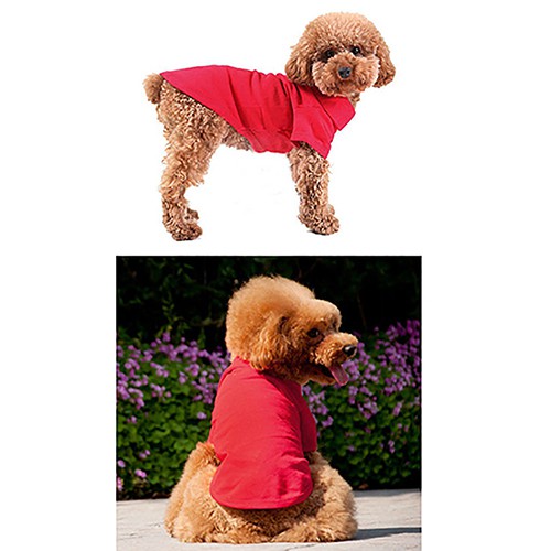 Áo Thun Đính Nút Cho Thú Cưng